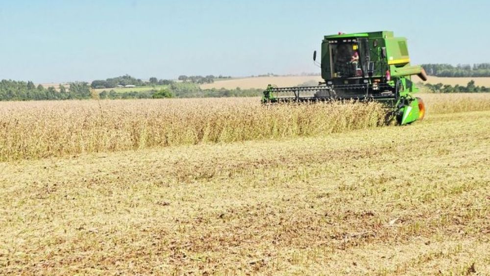 Redujeron la proyección final de la cosecha de soja a 46 millones de toneladas