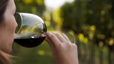 El consumo de vino en Argentina subió un 6,5% en 2020
