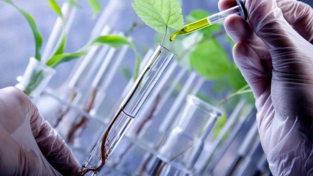 Destinarán $100 millones a proyectos de biotecnología durante 2023