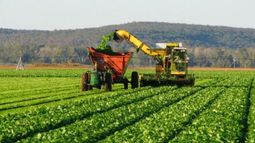 El Consejo Agroindustrial Argentino festejó el acuerdo por la deuda
