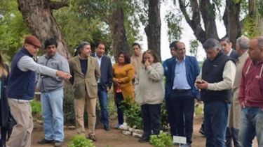 Crearon el primer semillero orgánico del país en Santiago del Estero