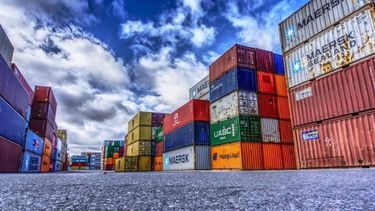 Se redujo la cifra de empresas exportadoras durante el primer semestre