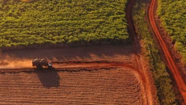 Brasil tendrá su segunda mayor cosecha desde 1975