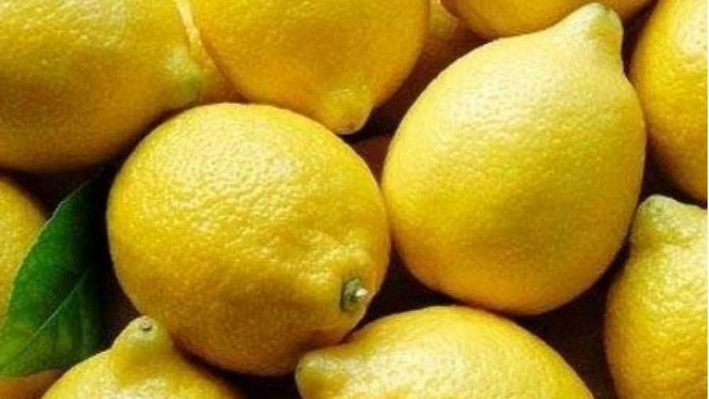 Mala noticia: Estados Unidos suspendió la importación de limones argentinos