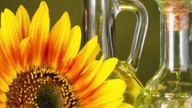 Cambio de paradigma en el mercado de girasol