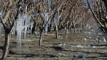 Mendoza quedó en situación de emergencia agrícola