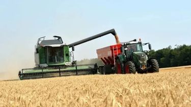 Estiman que el agro generará un ingreso extra de u$s 10.000 millones en 2021