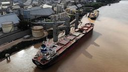 El campo argentino sigue afianzando su posición internacional.