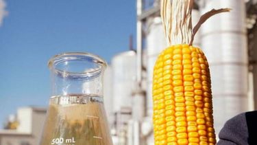 El Gobierno estableció nuevos precios para el bioetanol a base de maíz