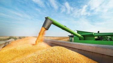 El complejo sojero devengará casi US$ 24.000 millones en 2022