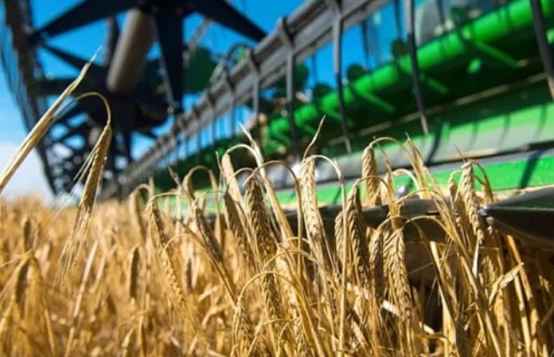El pronóstico sobre las principales materias primas del campo.
