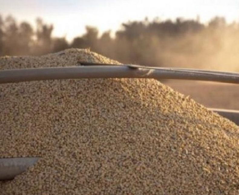 Productor sojero de Córdoba logró un récord de producción