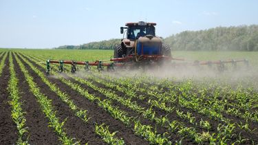 Un insumo fundamental para los productores rurales.