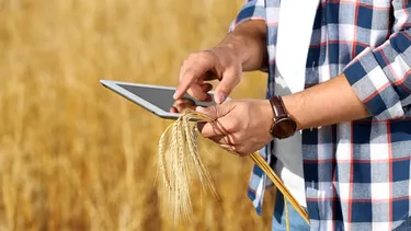 Facilitando la gestión de los productores.