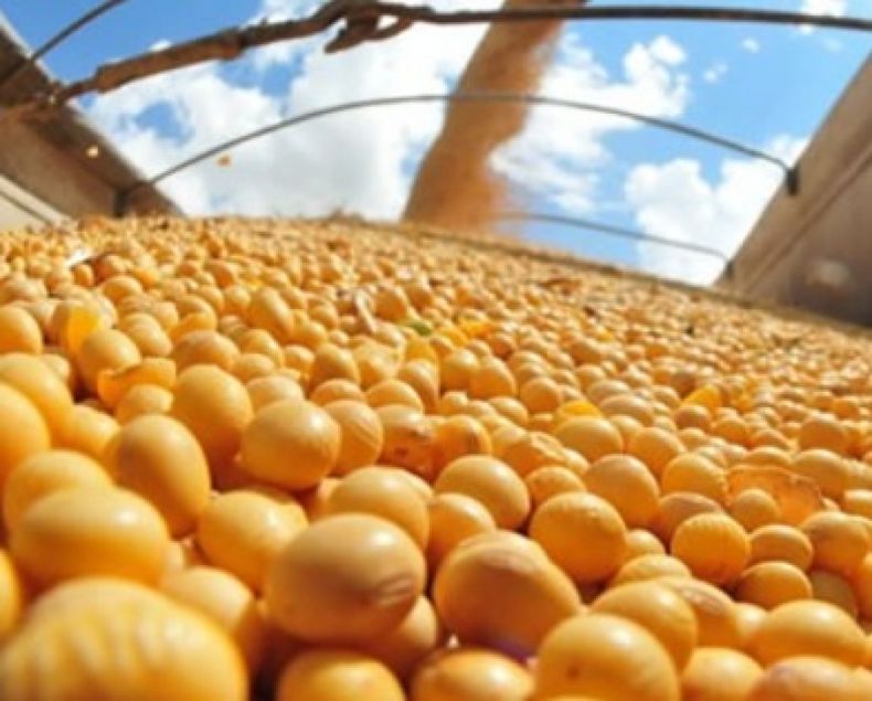 Habilitan exportación de granos por cuenta de terceros