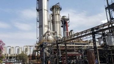 Azucareros garantizan la provisión de azúcar y alcohol