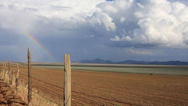 Lluvias recientes alcanzaron las zonas más afectadas por la sequía