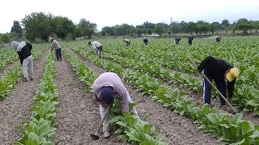 Los trabajadores rurales representados por el RENATRE.