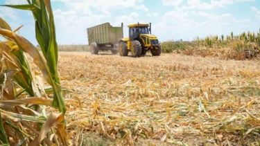 Extienden la emergencia agropecuaria en Santa Fe hasta septiembre