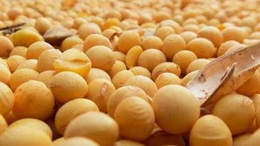 Argentina ya es el mayor comprador de soja estadounidense