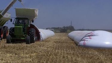 Mayor control oficial sobre el comercio de granos y silobolsas