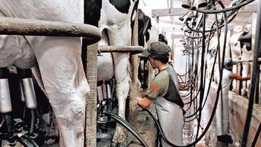 Tamberos recibieron 40 millones de pesos en compensaciones