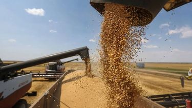 Productores vendieron más de 4 millones de toneladas de soja