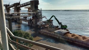 Las compras de la oleaginosa al exterior.