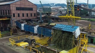 Ledesma proyecta una molienda mayor a 3 millones de toneladas de caña