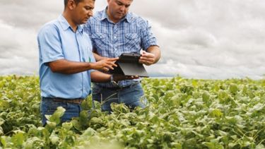 Restringen el acceso a créditos susidiados a productores