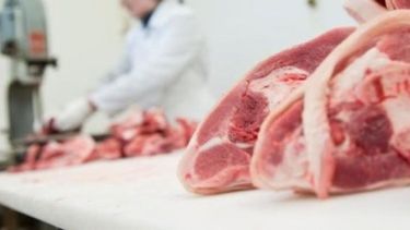 Brasil aumentará sus exportaciones de cerdo a China