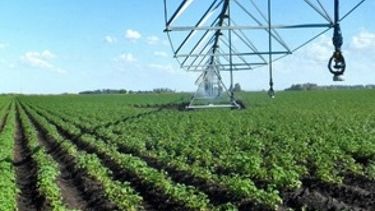 Buscan ampliar a 6 millones de hectáreas la superficie con riego
