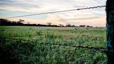 Observan que hay un proceso de "concentración" de la tierra a nivel regional