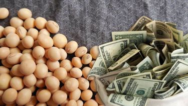 Gesto del Gobierno al campo para que se acelere la agroexportación