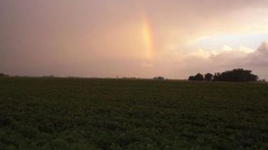 Anticipan riesgos para la campaña agrícola de este año