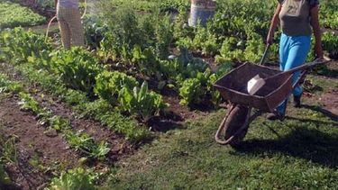 Entregan compensaciones por más de 300 millones a ruralistas