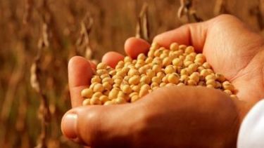 Se postergó el tratamiento de la Ley de Semillas