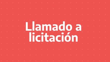 Licitan siete bonos para financiar al Estado