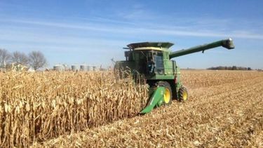 USDA modificó al alza las proyecciones agrícolas para la campaña 2021/22