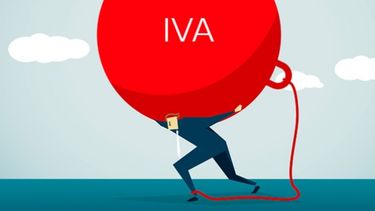 Cómo recuperar los saldos a favor en el IVA con la actividad porcina