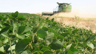Suben las estimaciones para cosecha y exportación de soja brasileña