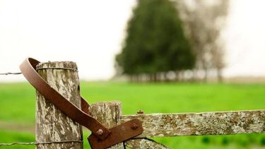 La actividad inmobiliaria rural cayó 47% en abril