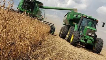 Rindes en la cosecha de soja podrían llevar a nuevo recorte en la producción