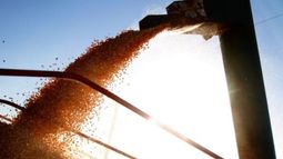 El 92% de las exportaciones totales a China son del sector agroindustrial