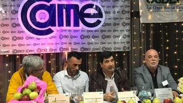 Economías regionales harán exportaciones por U$S 7.200 millones en 2019