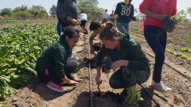 Escuelas rurales: dar clases frente a todo pronóstico