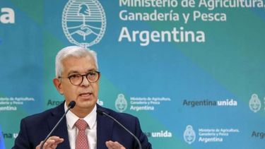 Domínguez descartó problemas en la importación de fertilizantes y agroquímicos