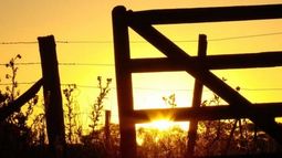 Nuevo caída de la actividad inmobiliaria rural