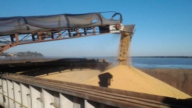 Saldo negativo de la agroexportación superó el 8% en lo que va del año