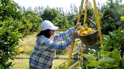 Diseñan programa para impulsar a las economías regionales